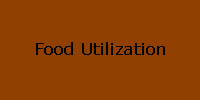 Food Utilization